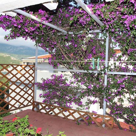 Apartment Sandra Budva Cameră foto