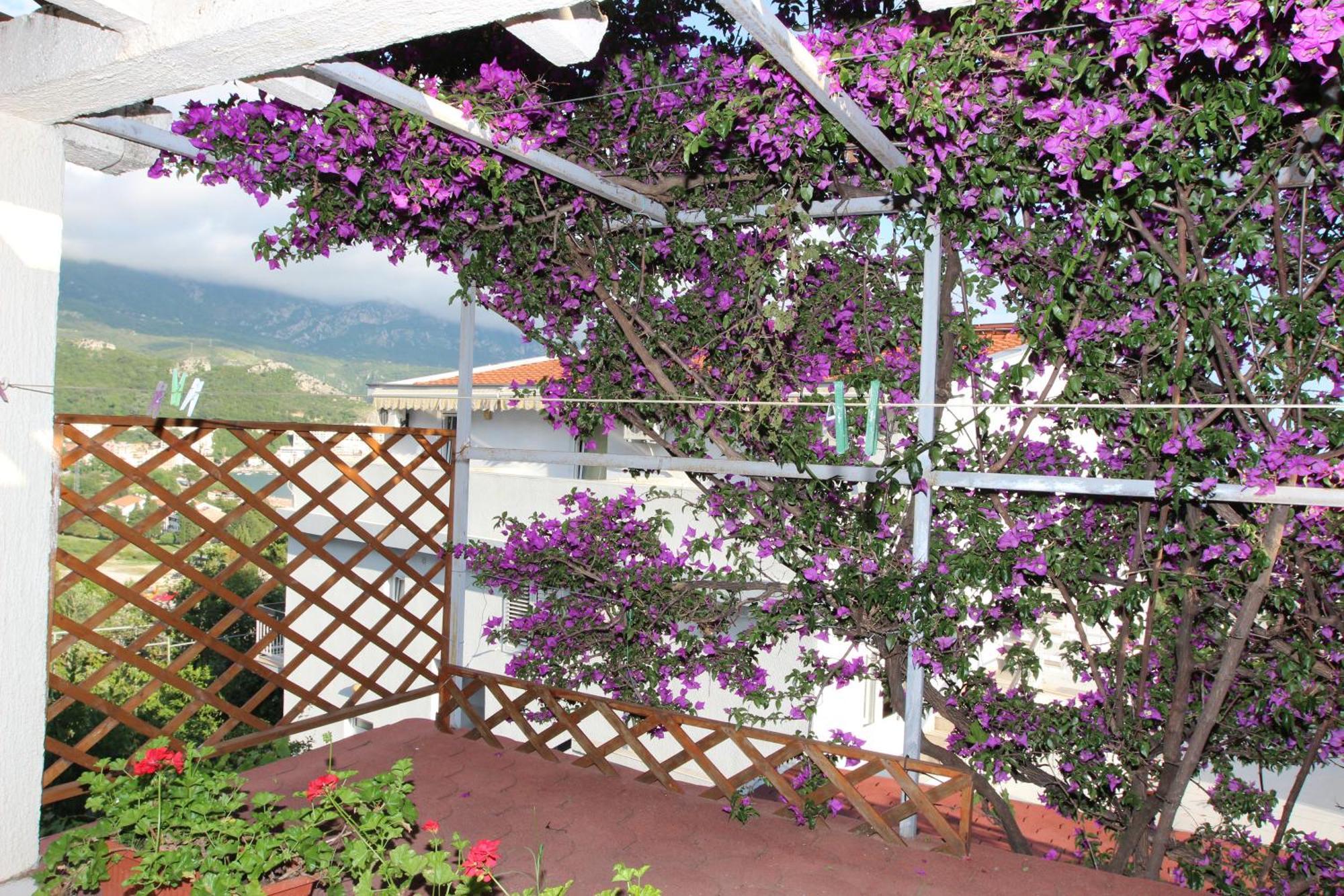 Apartment Sandra Budva Cameră foto